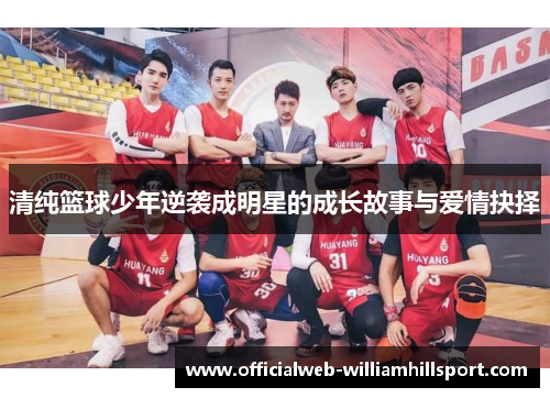 清纯篮球少年逆袭成明星的成长故事与爱情抉择