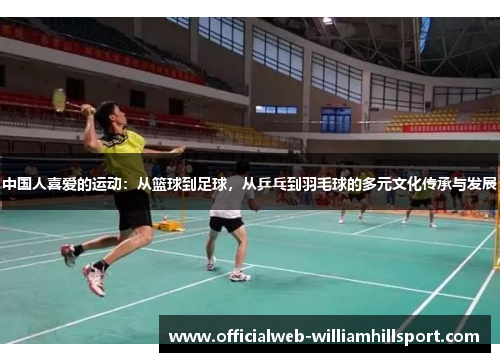 中国人喜爱的运动：从篮球到足球，从乒乓到羽毛球的多元文化传承与发展