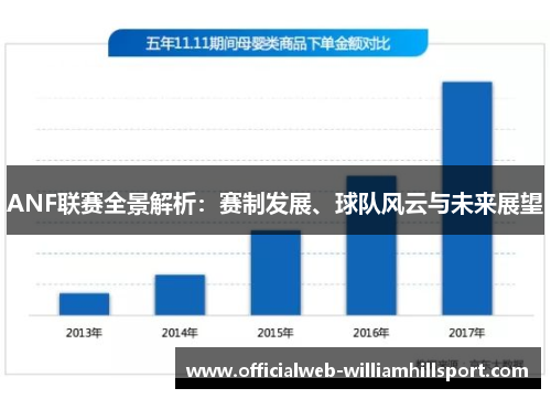 ANF联赛全景解析：赛制发展、球队风云与未来展望